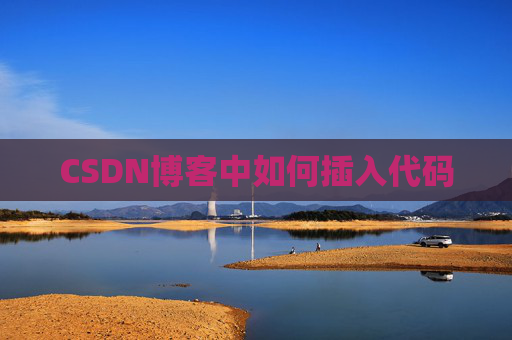CSDN博客中如何插入代码
